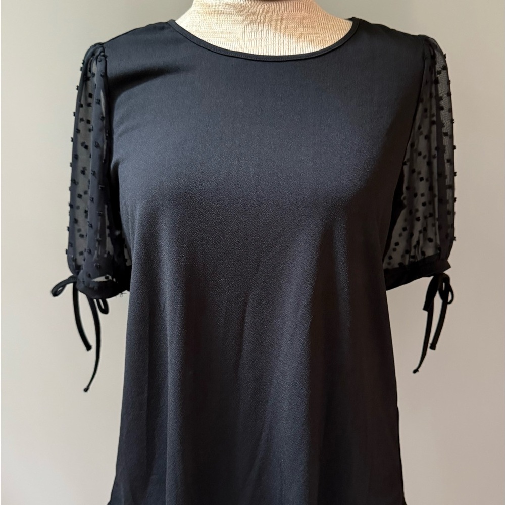 NWT Nordstrom Rack Adrianna Papell Blouse with Sheer Sleeves